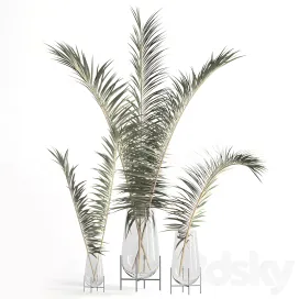 Dry palm leaves in echasse vases